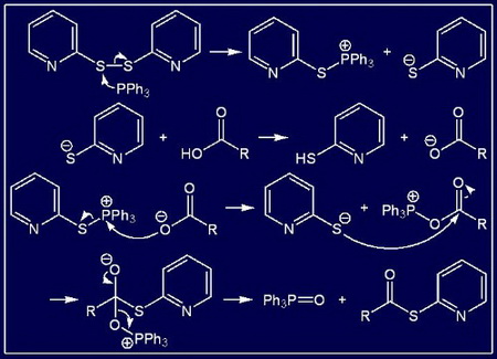 多肽生产厂家带你认识生物活性肽